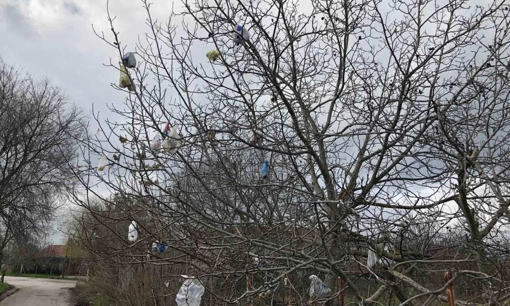 Τρίκαλα: Σε τεντωμένο σχοινί σχέσεις γειτόνων
